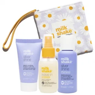 Silver shine travel size 3pcs+ pochette