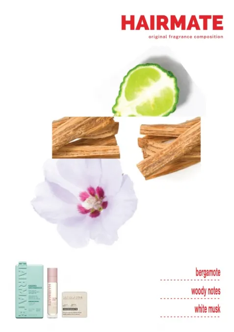 Repair conditioner 250ml