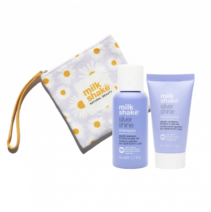 Silver shine travel size 2pcs+ pochette